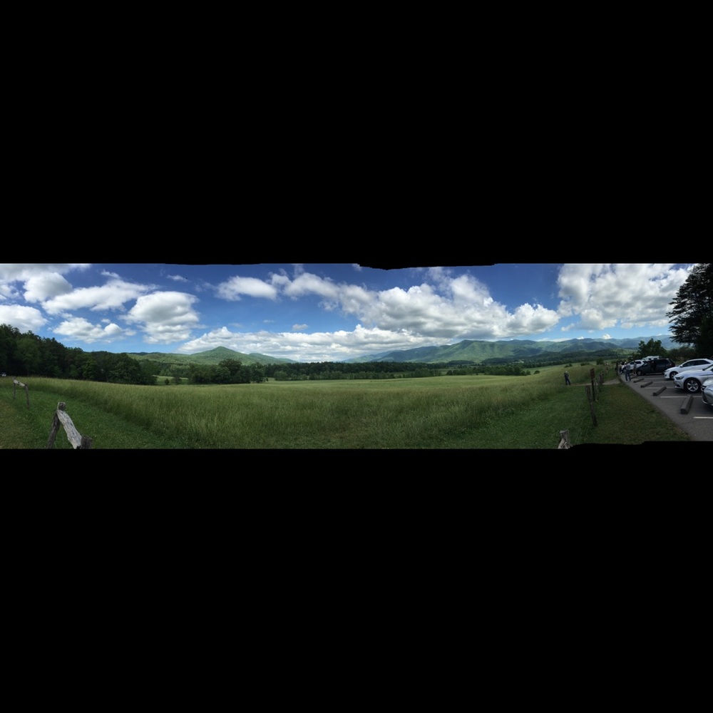 Meet your Posher, Matt